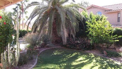 Professionally Landscaped Yard