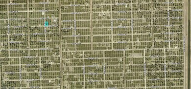 3112 71st St W, Lehigh Acres, FL 33971 - photo 3