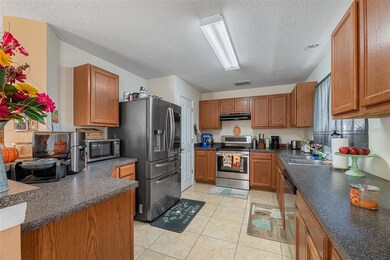 18941 Sunterra Dr, Land O Lakes, FL 34638 - photo 3