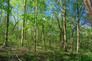 33885 W. Buckingham Rd-02328