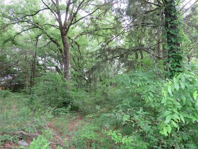 Tract 3 Recreational Road 3, Bonham, TX 75418 - photo 3