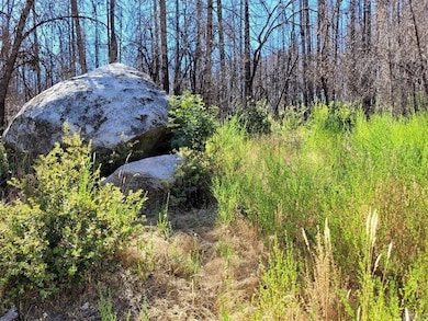 0 Galen Creek Rd unit 225144688, Berry Creek, CA 95916 - photo 6