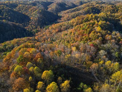 0 Rock Springs Rd unit RTC3049749, Celina, TN 38551 - photo 5