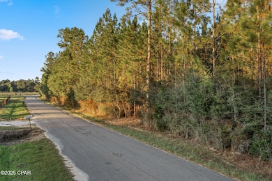 XXX Parrish Still Rd, Vernon, FL 32462 - photo 2