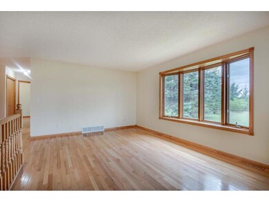14249 410th St-18