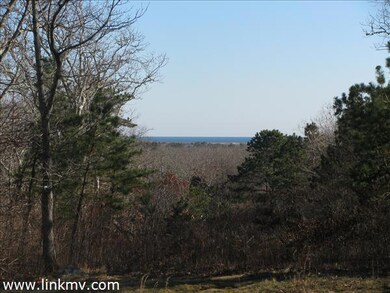27 Old Ridge Hill, Chilmark, MA 02535 - photo 4