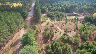 ON Forest Rd unit 1.9 ac, Tomahawk, WI 54487 - photo 2