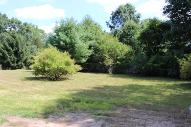 421 Leboeuf Ln, Wayland, MI 49348 - photo 4