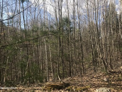 unlisted-address, Great Barrington, MA 01230 - photo 3