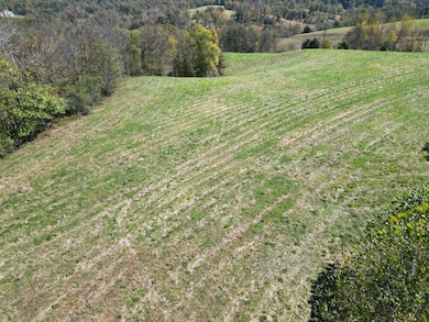 000 Field Hollow Rd, Spencer, WV 25276 - photo 4