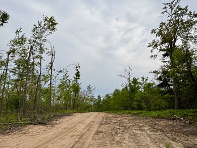 Parcel #E Town Line Rd, Lewiston, MI 49756 - photo 6