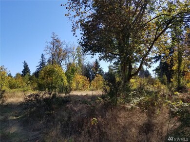 24222 110th Ave E unit A, Graham, WA 98338 - photo 7