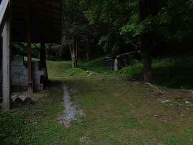 78 Rochetti Dr, Crumpler, WV 24868 - photo 2