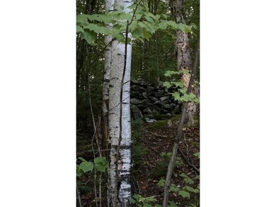 0 Pearl Lake Rd unit 4180994, Sugar Hill, NH 03586 - photo 7