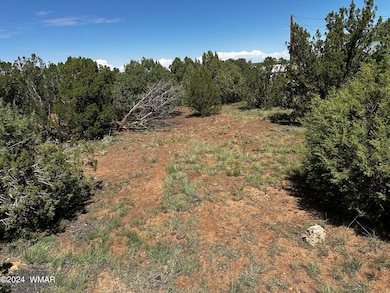 Heavily treed, level, and accessible!