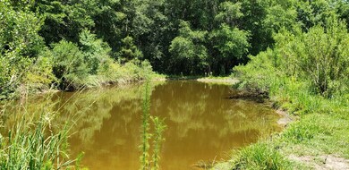 20 Dub Lewis Rd, Douglas, GA 31533 - photo 7