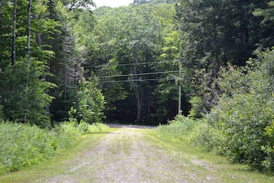 466 Dorman Rd, Andover, VT 05143 - photo 3