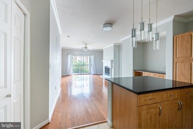 12929 Centre Park Cir unit 217, Herndon, VA 20171 - photo 7