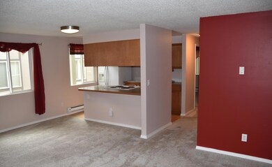 Living/ Kitchen