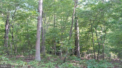 4 Householder Rd, Hedgesville, WV 25427 - photo 6