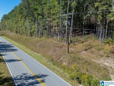 15874 County Highway 26, Blountsville, AL 35031 - photo 5