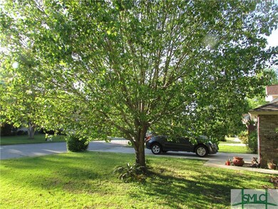 Beautiful front yard tree!