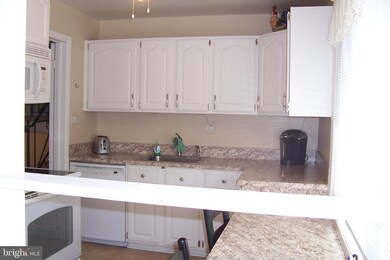 13117 Holdridge Rd, Silver Spring, MD 20906 - photo 6