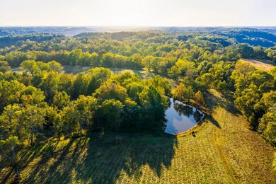 3345 Pigeon Roost Rd, Pulaski, TN 38478 - photo 7