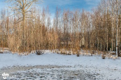 1551 N Fanciful Place Wasilla-small-001-