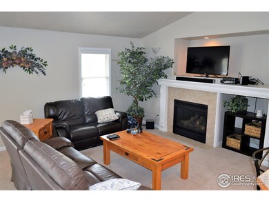 Family Rm, Fireplace