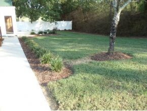 Attractive Landscaping