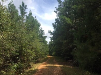 00 N Patten Rd, Tylertown, MS 39667 - photo 2