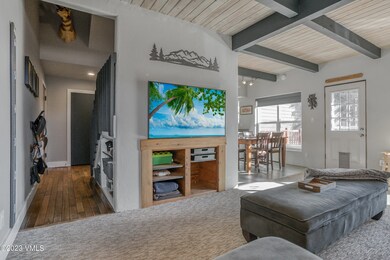 723 Shorthorn-3