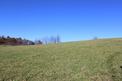 IMG_8327