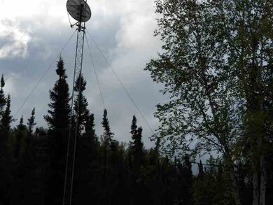 10366 Salcha Dr unit Harding Lake, Salcha, AK 99714 - photo 3