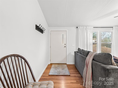 46 Misty Ridge Ln, Leicester, NC 28748 - photo 3