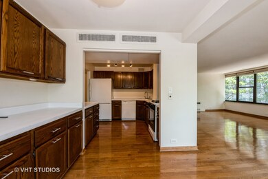 Beach Point Tower unit 3A, Chicago, IL 60660 - photo 6
