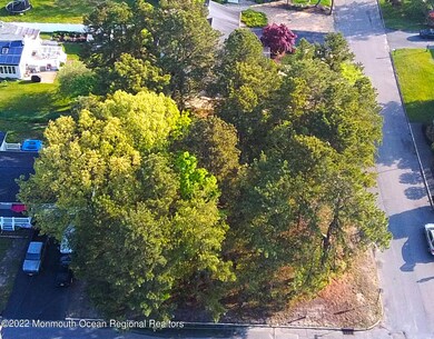 312 Pine Forest (8)