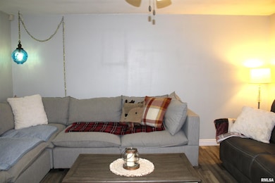 4786 Keller Rd, Iuka, IL 62849 - photo 7