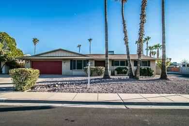 De Palma Cir-1