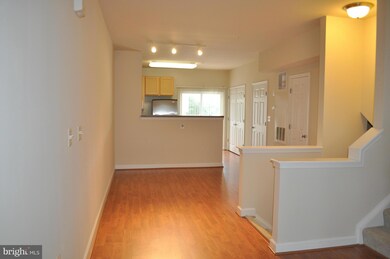 42534 Mayflower Terrace, Ashburn, VA 20148 - photo 4