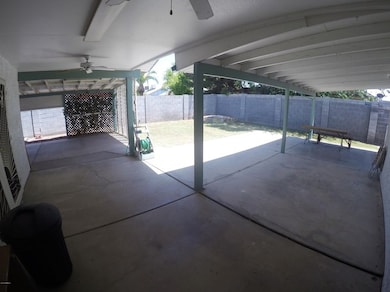 Back Patio