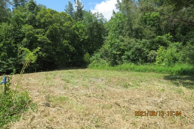 75 Hurricane Church Rd, Stewart, TN 37175 - photo 3