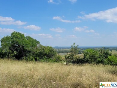 Lot 40 Cottonwood Mesa Dr, Kempner, TX 76539 - photo 3