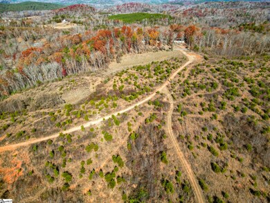 0 Skyland Dr unit 1575916, Marietta, SC 26661 - photo 6