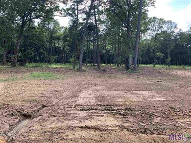 B-1-A-3 Zeb Chaney Rd, Zachary, LA 70791 - photo 3