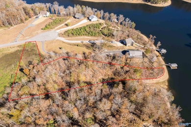 Lot 7 County Road 373, Crane Hill, AL 35053 - photo 7