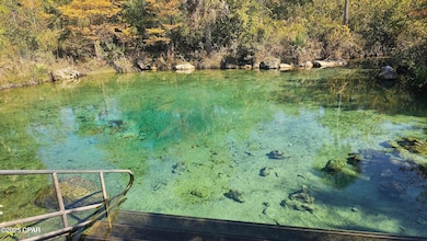 7212 Brett Rd, St. Andrews Bay, FL 32466 - photo 3