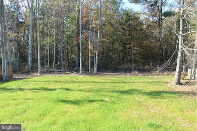 LOT 23 Bowie Rd, Washington, VA 22443 - photo 3