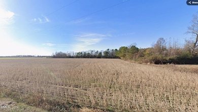 000 Green Path Rd, Dunn, NC 28334 - photo 3